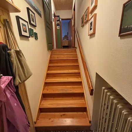 Stella Auronzo di Cadore