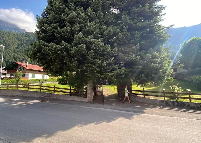 Stella * アウロンツォ・ディ・カドーレ